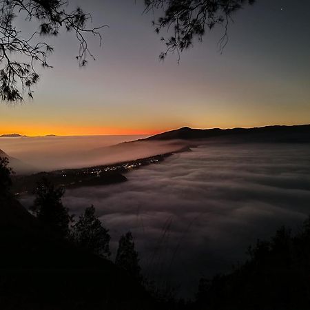 Uciek Tengger Bromo Ngadisari Екстериор снимка
